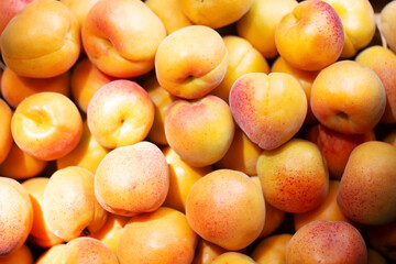 Fruits of juicy apricots in close-up.

