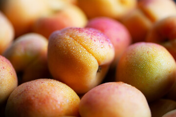 Fruits of juicy apricots in close-up.

