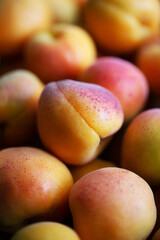 Fruits of juicy apricots in close-up.

