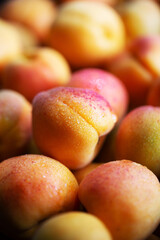 Fruits of juicy apricots in close-up.

