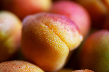 Fruits of juicy apricots in close-up.

