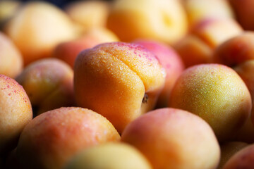Fruits of juicy apricots in close-up.

