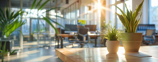 A brightly lit office with a blurred background showing modern desks, potted plants, and large windows, giving a fresh and vibrant look.
