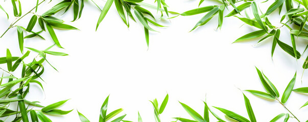 Obraz premium A circular frame of bamboo leaves, isolated on a white background. The slender, green leaves create an elegant and Asian-inspired border.