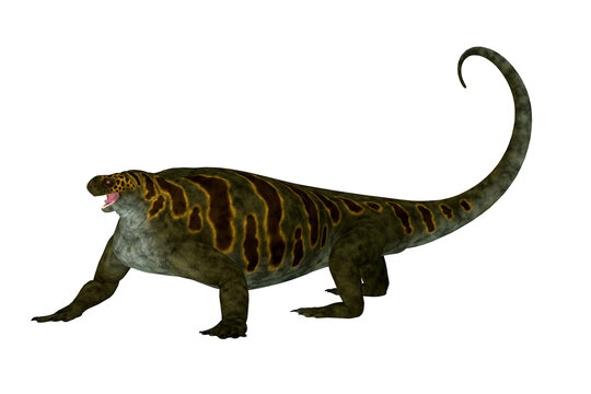 Cotylorhynchus Therapsid Walking - Cotylorhynchus was a synapsid herbivorous reptile that lived in North America during the Permian Period.