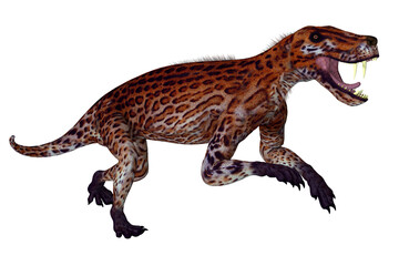 Naklejka premium Lycaenops Cat-like Animal - Lycaenops was a carnivorous mammal-like therapsid animal that lived in South Africa during the Permian Period.