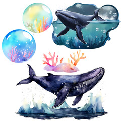 Watercolor whale