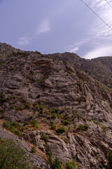 A mountain with a rocky cliff and a green tree on it