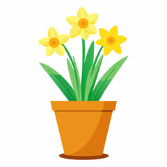 yellow daffodils in a pot