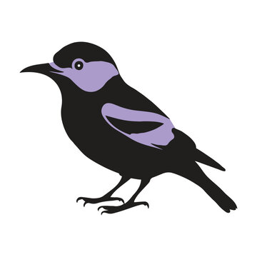 recommend clip art: Small bird Goldfinch  vector art