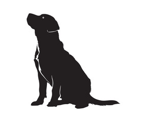 Dog  silhouette