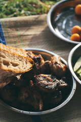 picnic food, food in tourist metal plates, meat cooked on fire
