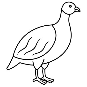 recommend clip art: "Francolin Body Icon Vector Illustration | Bird Wildlife Clipart"
                    
                    https://as1.ftcdn.net/jpg/08/70/94/52/220_F_870945225_QgM62WH7aOOOVGgGn7fwMtbuU2RKiS8k.jpg