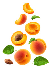 Set of whole apricots, halves and apricot slices with leaves isolated on a transparent  background.
