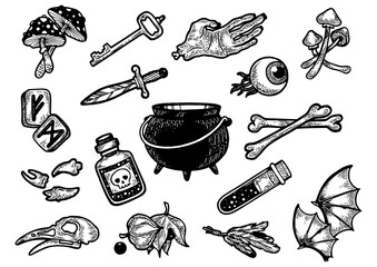 Magical fabulous witch witchcraft ingredients halloween holiday line art sketch engraving PNG illustration. T-shirt apparel print design. Scratch board imitation. Black and white hand drawn image.
