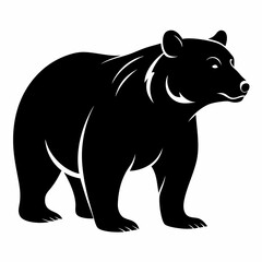 illustration of a bear