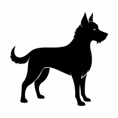 black dog isolated on white