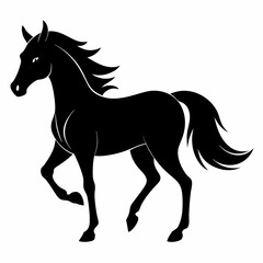 horse silhouette isolated on white background