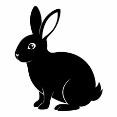 Obraz premium rabbit isolated on white