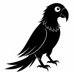 Fototapeta premium illustration of a parrot