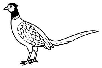 Pheasant silhouette vector illustration, Pheasant Bird