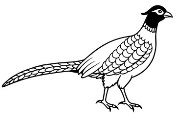 Pheasant silhouette vector illustration, Pheasant Bird