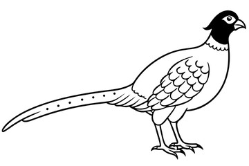 Pheasant silhouette vector illustration, Pheasant Bird