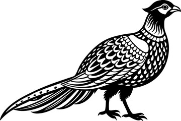 Pheasant silhouette vector illustration, Pheasant Bird