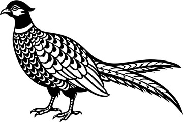 Pheasant silhouette vector illustration, Pheasant Bird