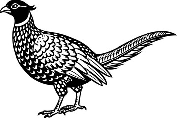 Pheasant silhouette vector illustration, Pheasant Bird