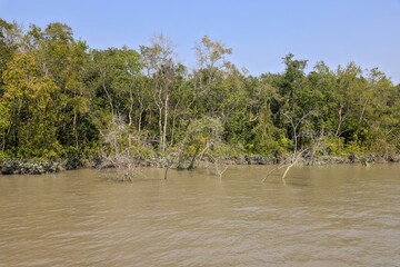 Sundarbans National Park.Sundarbans is a tidal wetland forest delta with an area of about 10,200...