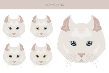 Alpine Lynx clipart. Highlander, All coat colors set.  All cat breeds characteristics infographic