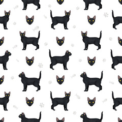 Bombay cat seamless pattern. All coat colors set