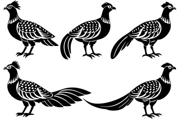 pheasant Bird vector silhouette set