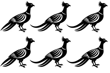 pheasant Bird vector silhouette set