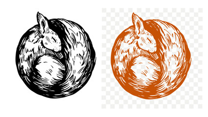 Squirrel sketch, hand drawn, vector illustration, black outline
