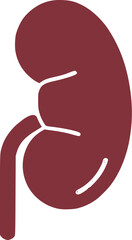 flat icon of kidney anatomy of human body part