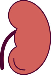 flat icon of kidney anatomy of human body part