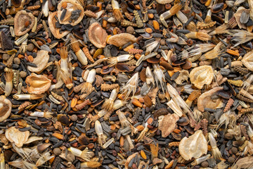 mix of drought tollerant wildflower seeds, macro background and texture