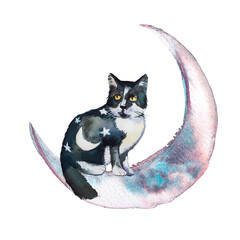 Obraz premium Watercolor hand painted Halloween concept illustration. Cat on a broom against moon clipart.