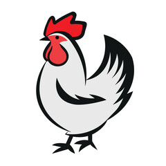Chicken vector