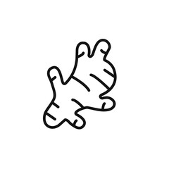 Ginger icon vector set collection for web