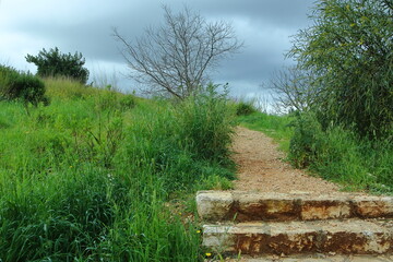 path in the park