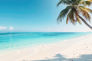 Obraz premium Idyllic beach with palm tree, tropical beach, paradise view