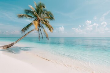 Fototapeta premium Idyllic beach with palm tree, tropical beach, paradise view