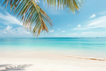 Idyllic beach with palm tree, tropical beach, paradise view