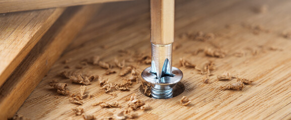 screwdriver screw in a wood oaks plank © evkaz