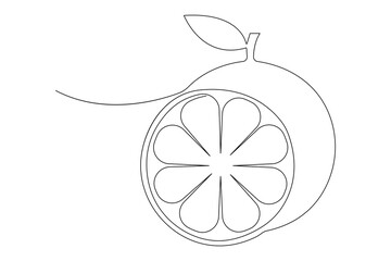 Vector abstract continuous one single line art drawing of icon orange fruit in sketch
