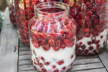 Glass jars filled with sour cherries and sugar for making homemade sour cherry liqueur