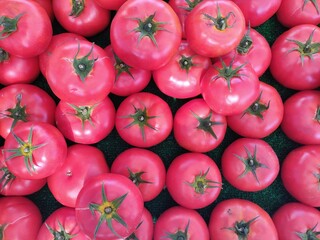 Various varieties of ripe tomatoes laid on the table as a background.